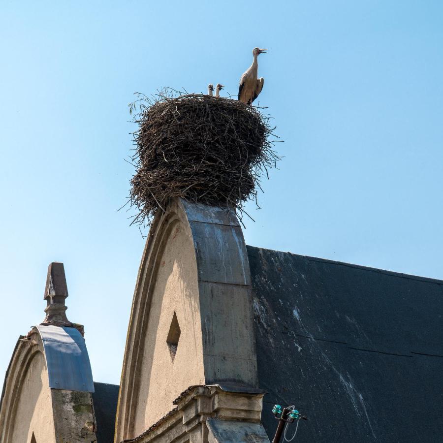 Zamek Sarny - Schloss Scharfeneck Клодзко Екстериор снимка